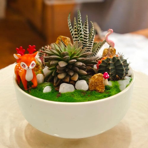 Designer_planter_with_Succulents_and _miniatures 18 in Bangalore