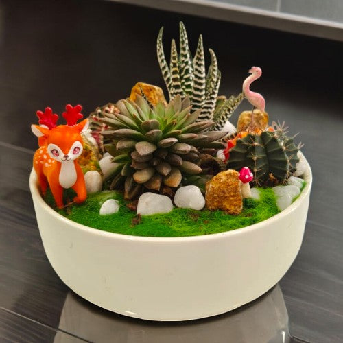 Designer_planter_with_Succulents_and _miniatures 19 in Bangalore