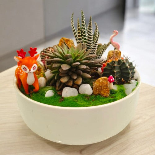 Designer_planter_with_Succulents_and _miniatures 20 Near Bangalore