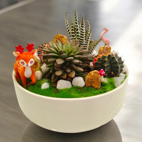 Designer_planter_with_Succulents_and _miniatures 21 in Bangalore