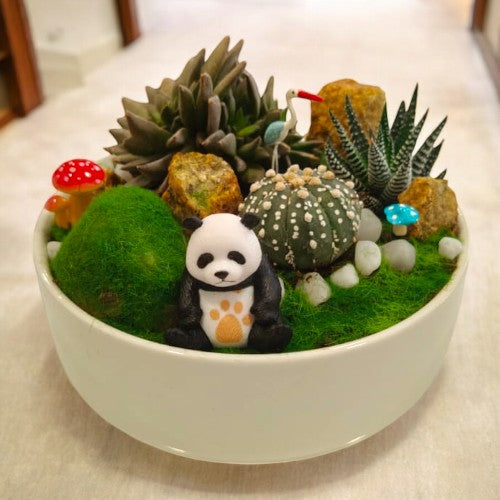 Designer_planter_with_Succulents_and _miniatures 22 Near Bangalore