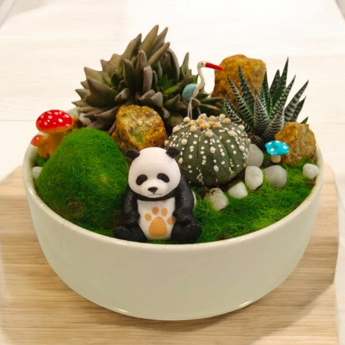 Designer_planter_with_Succulents_and _miniatures 23 in Bangalore