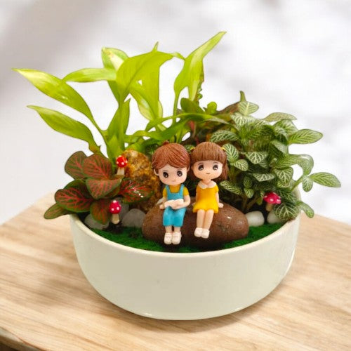 Designer Plants in Bangalore