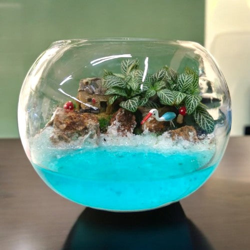 Plant Terrarium in bangalore