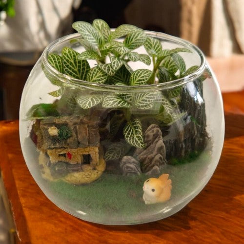 Designer_plants Miniatures_ with_Terrariums 4 plants names in bangalore