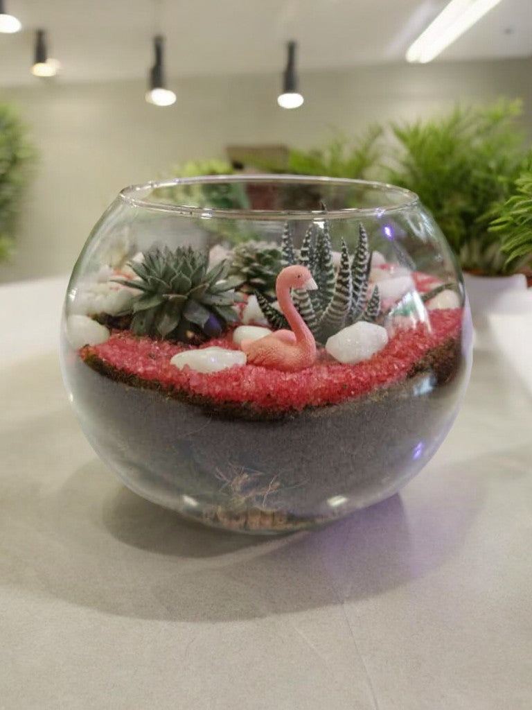 mini succulent garden Near Bangalore