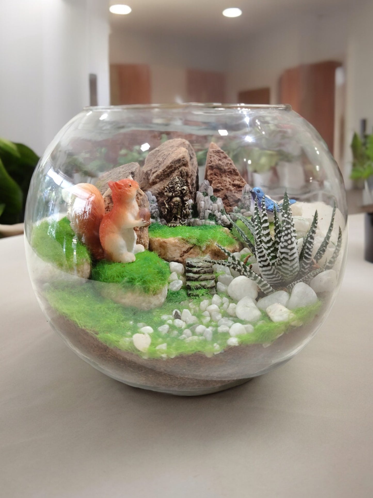 Succulent Plants in Round Terrarium Glass Bowl