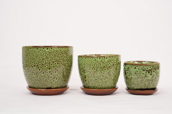Home decor planters Bangalore