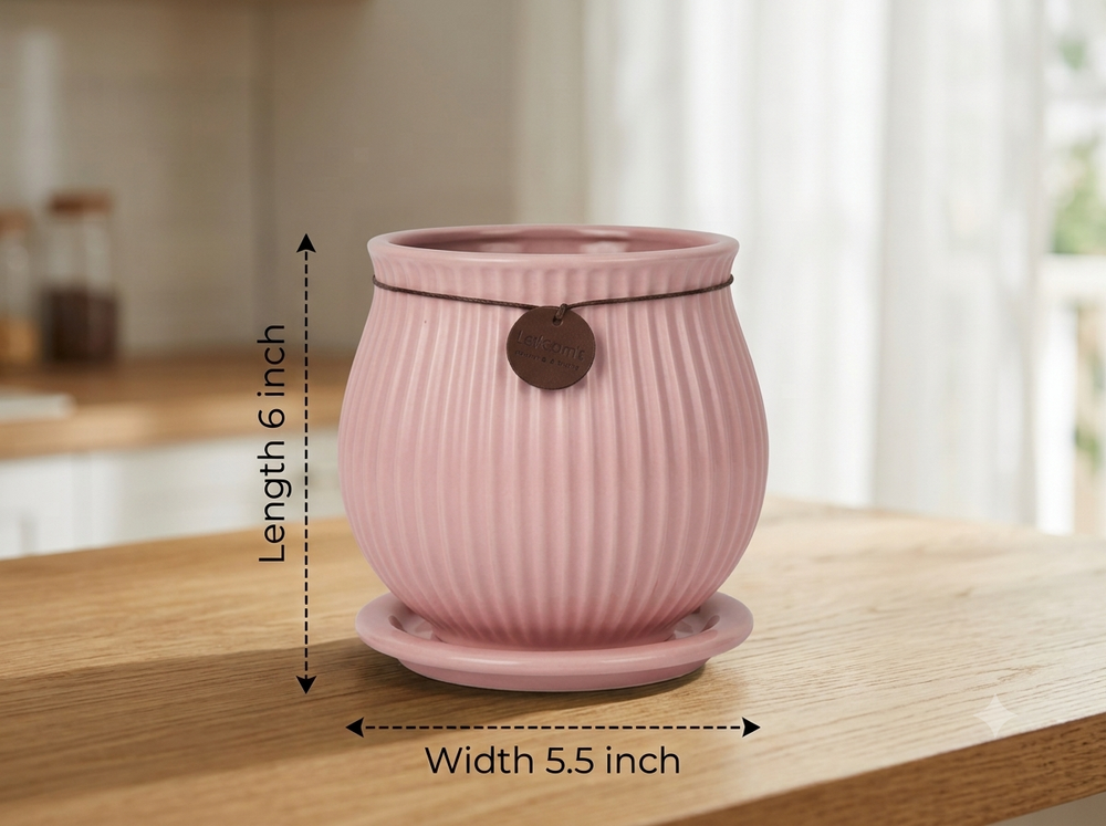 Ribbed Belly Planter - Large in Pink, with matching saucer