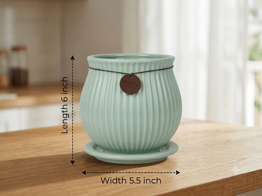 Ribbed Belly Planter - Large in Mint Green, with matching saucer