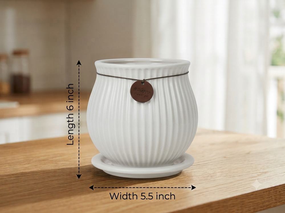 Ribbed Belly Planter - Large in White, with matching saucer