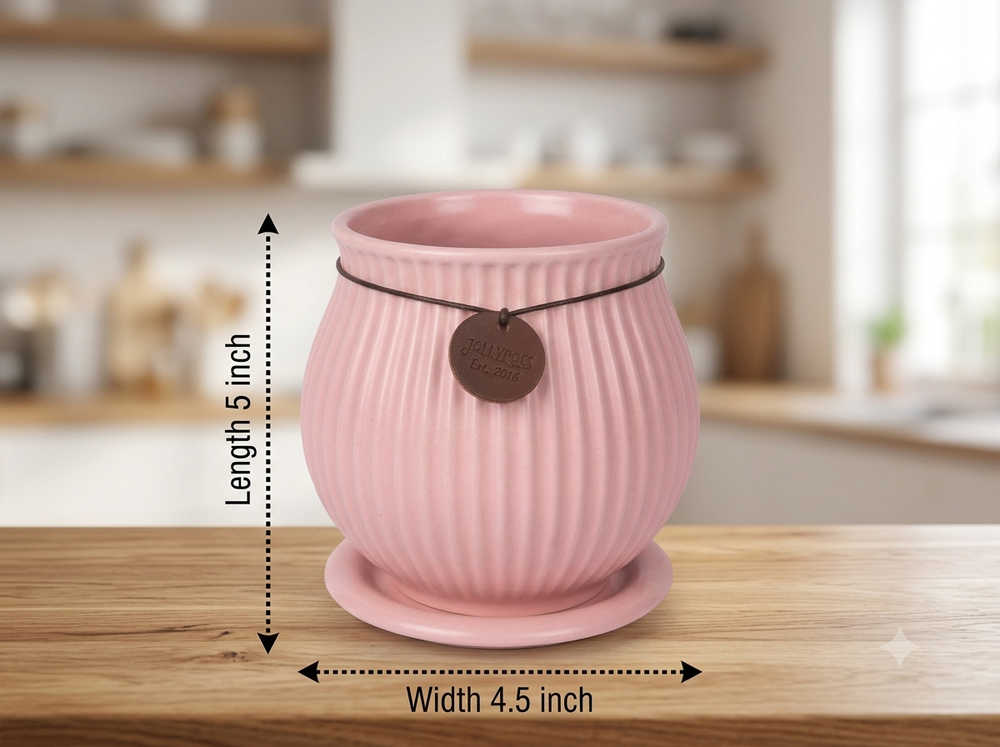 Ribbed Belly Planter - Medium in Pink, with matching saucer