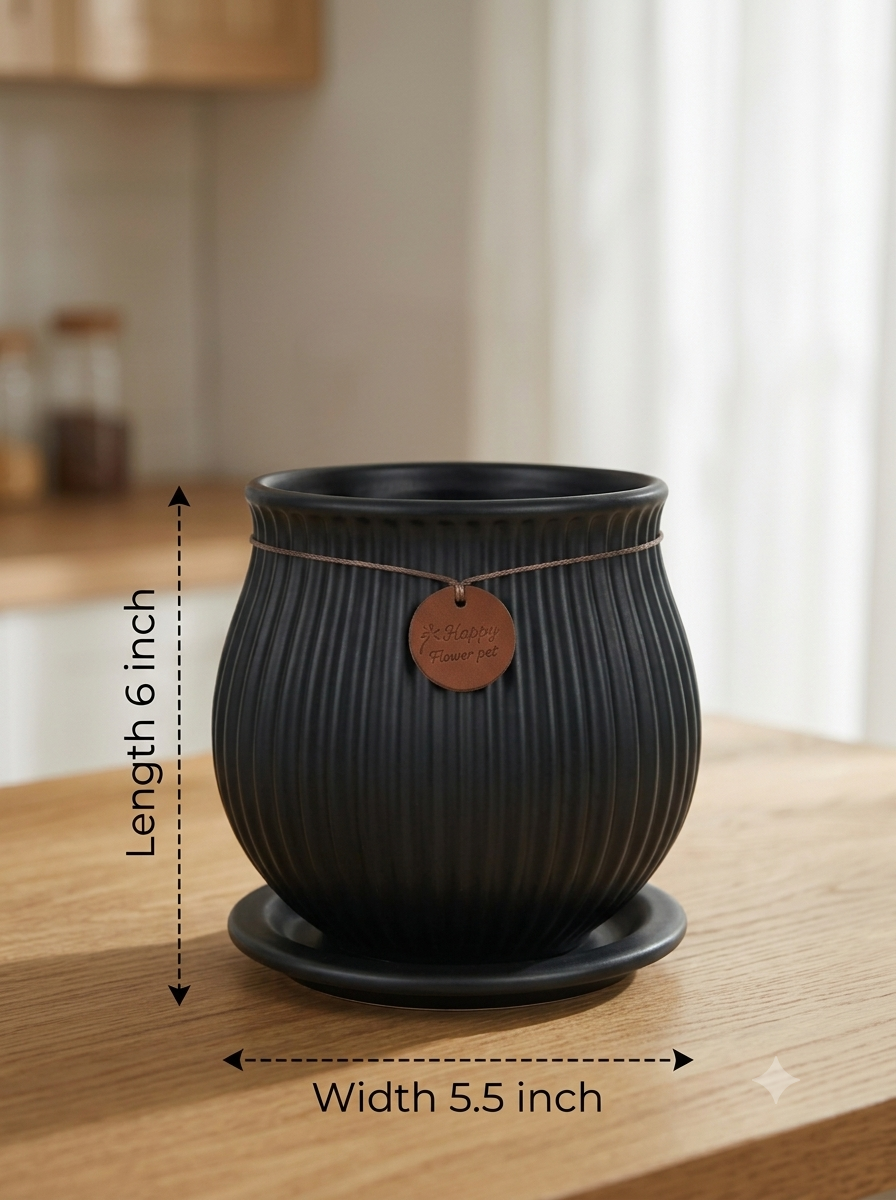 Ribbed Belly Planter - Large in Black, with matching saucer