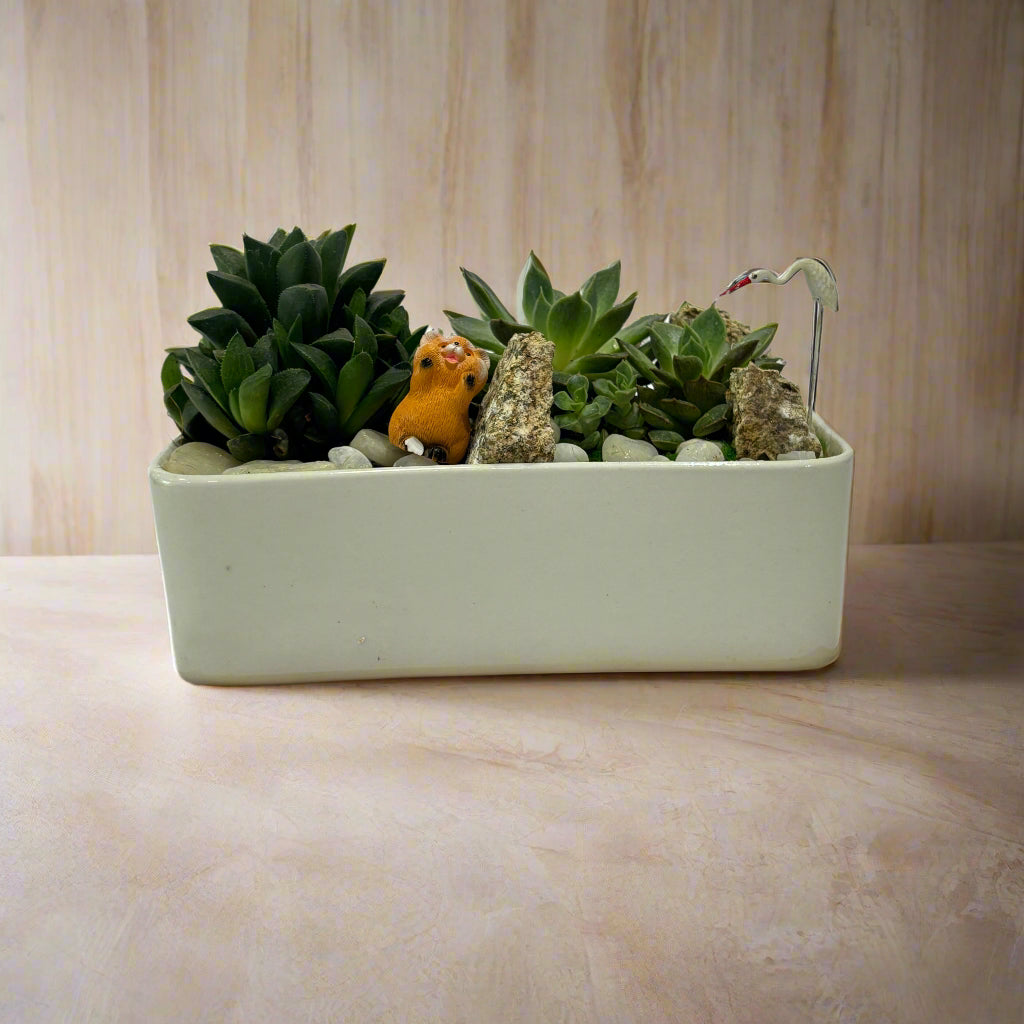 Designer plants