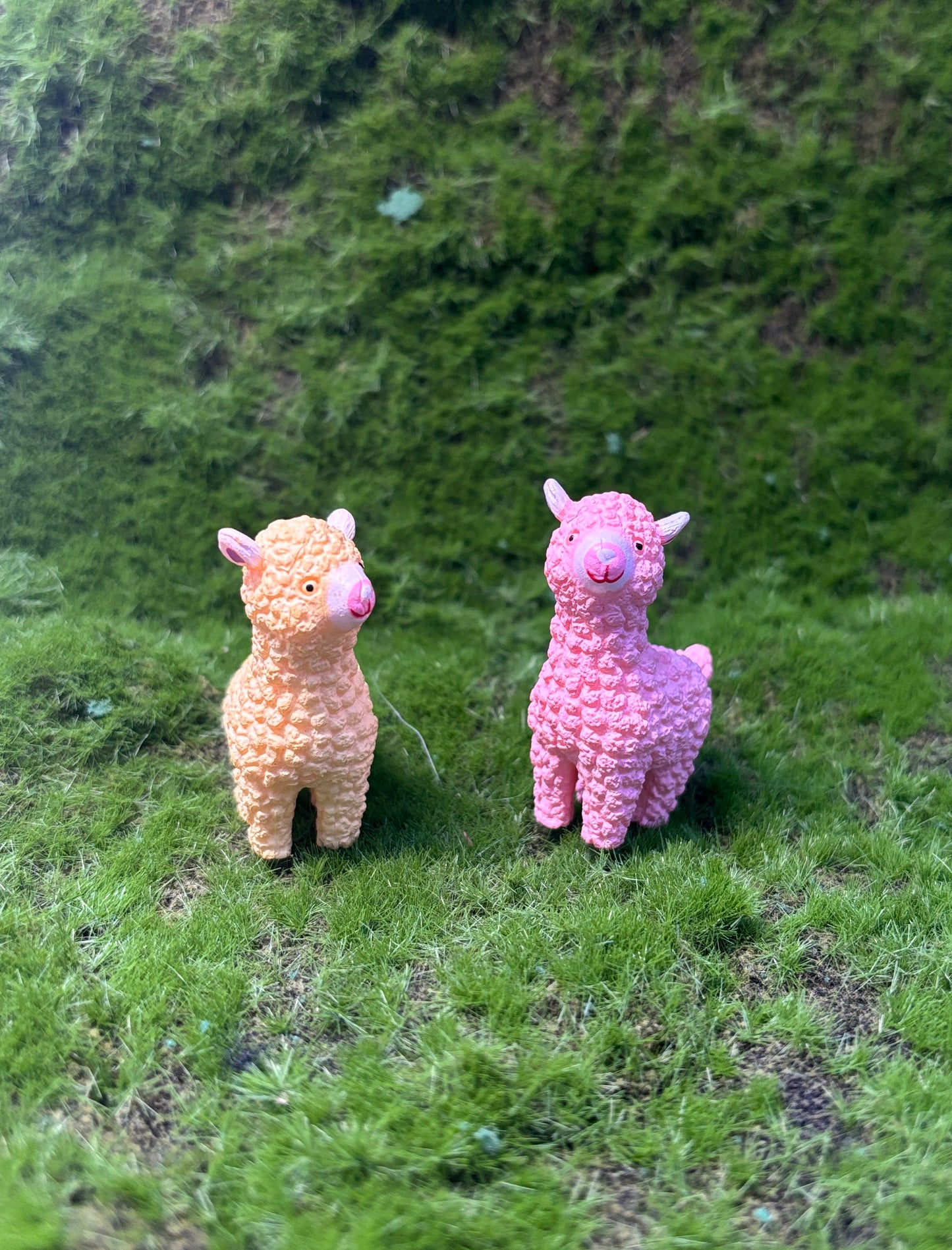 Cute Lamb Miniatures
