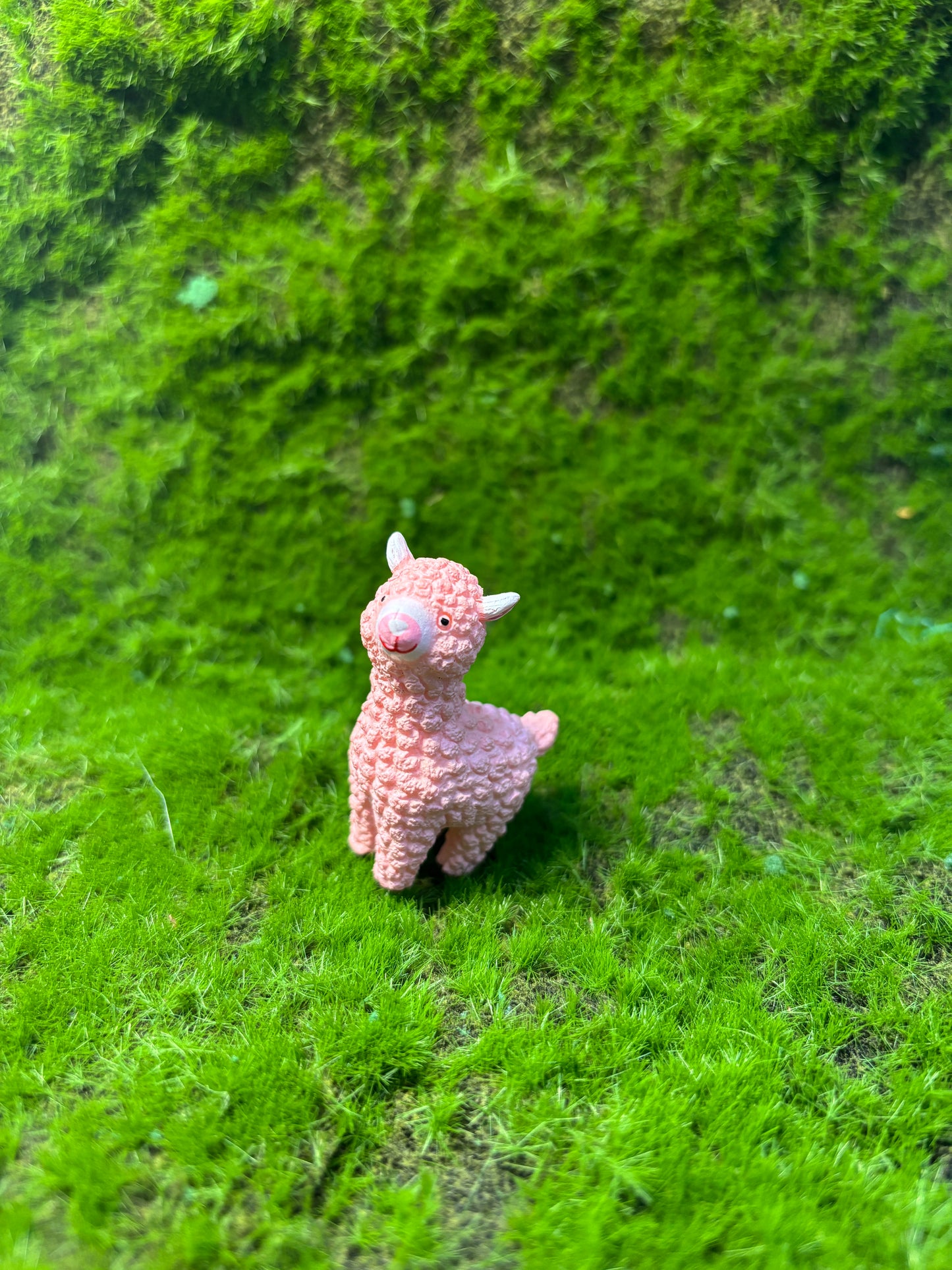 Cute Lamb Miniatures