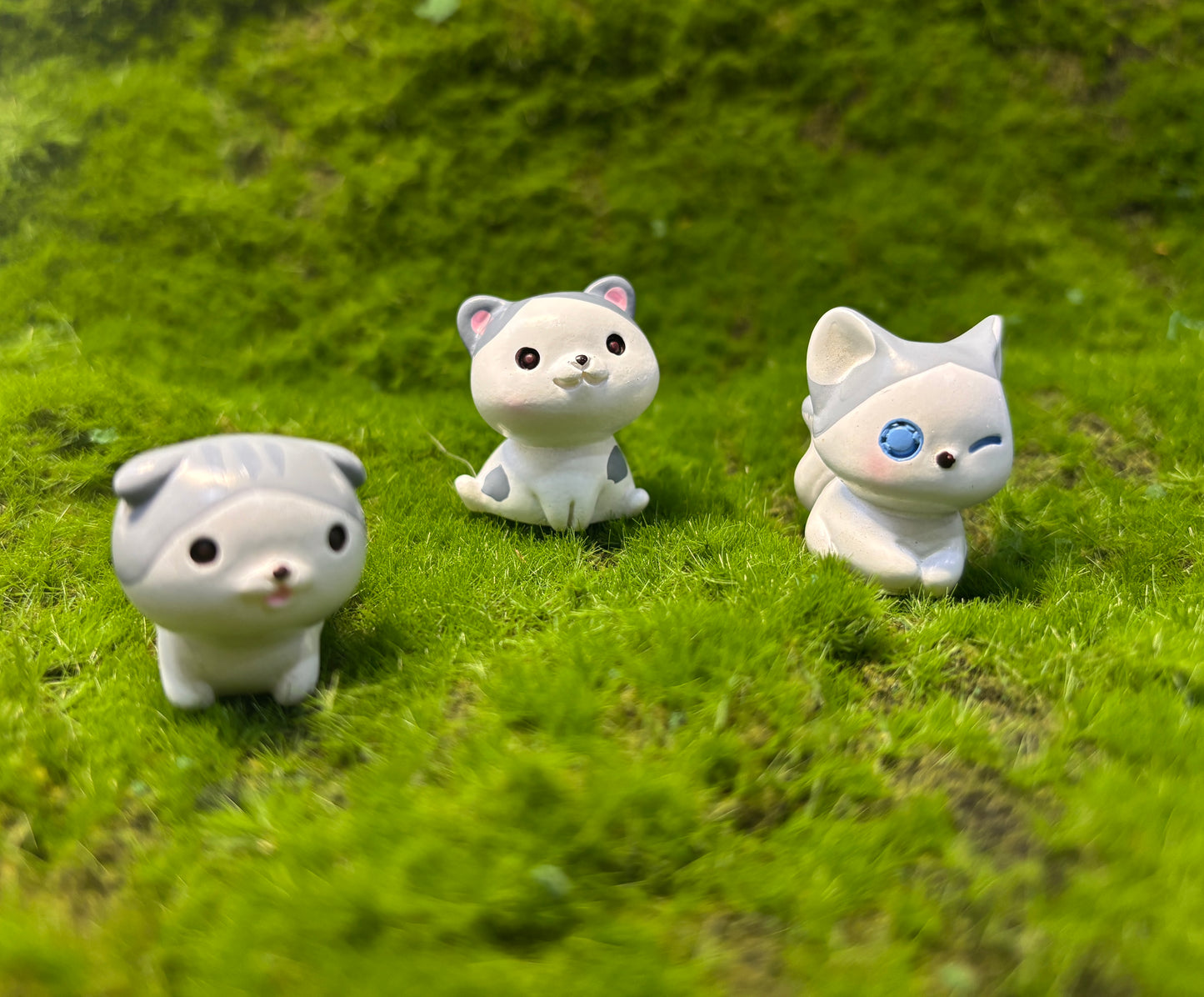 Cute Kitten Miniature