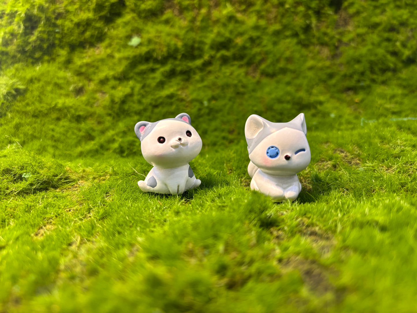 Cute Kitten Miniature