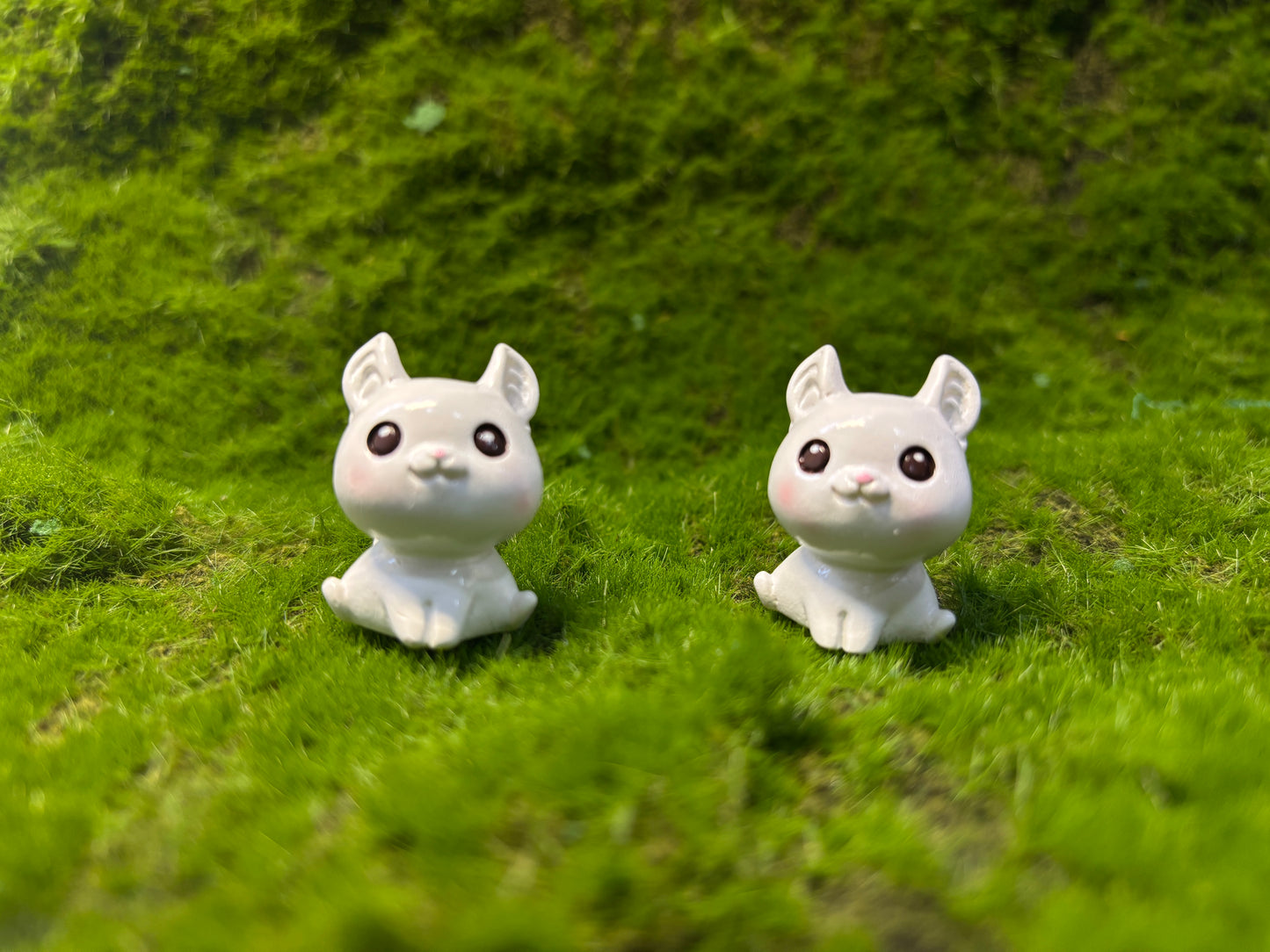 Cute Kitten Miniature
