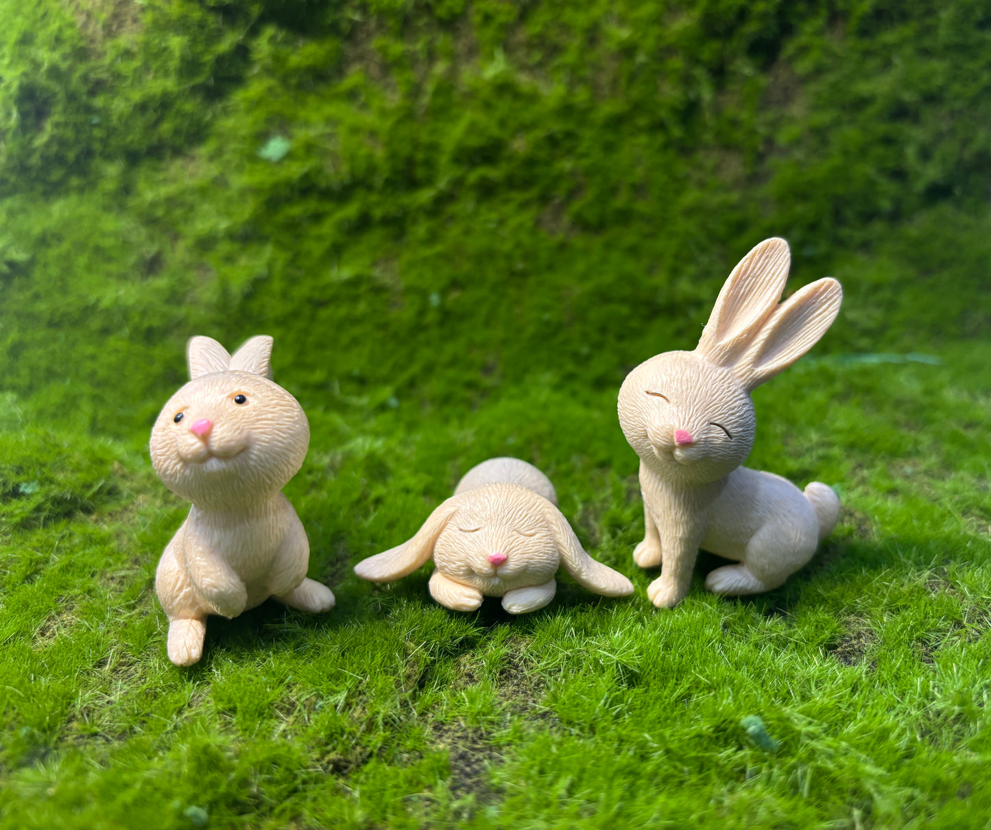 Cute Rabbit Miniatures