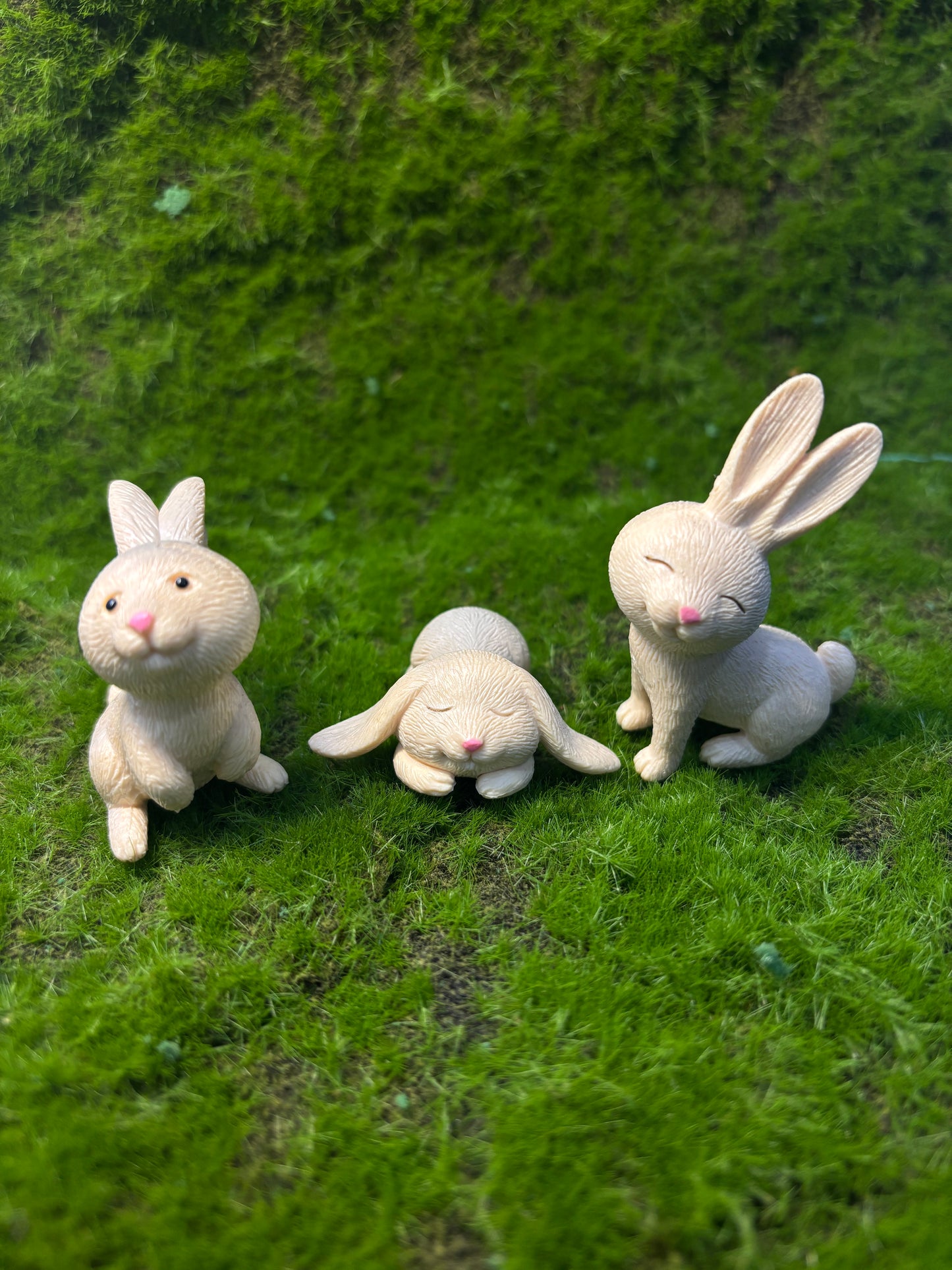 Cute Rabbit Miniatures