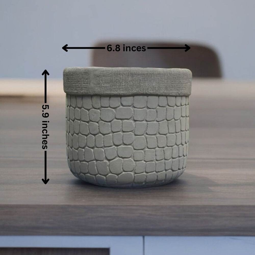Modern planters Bangalore