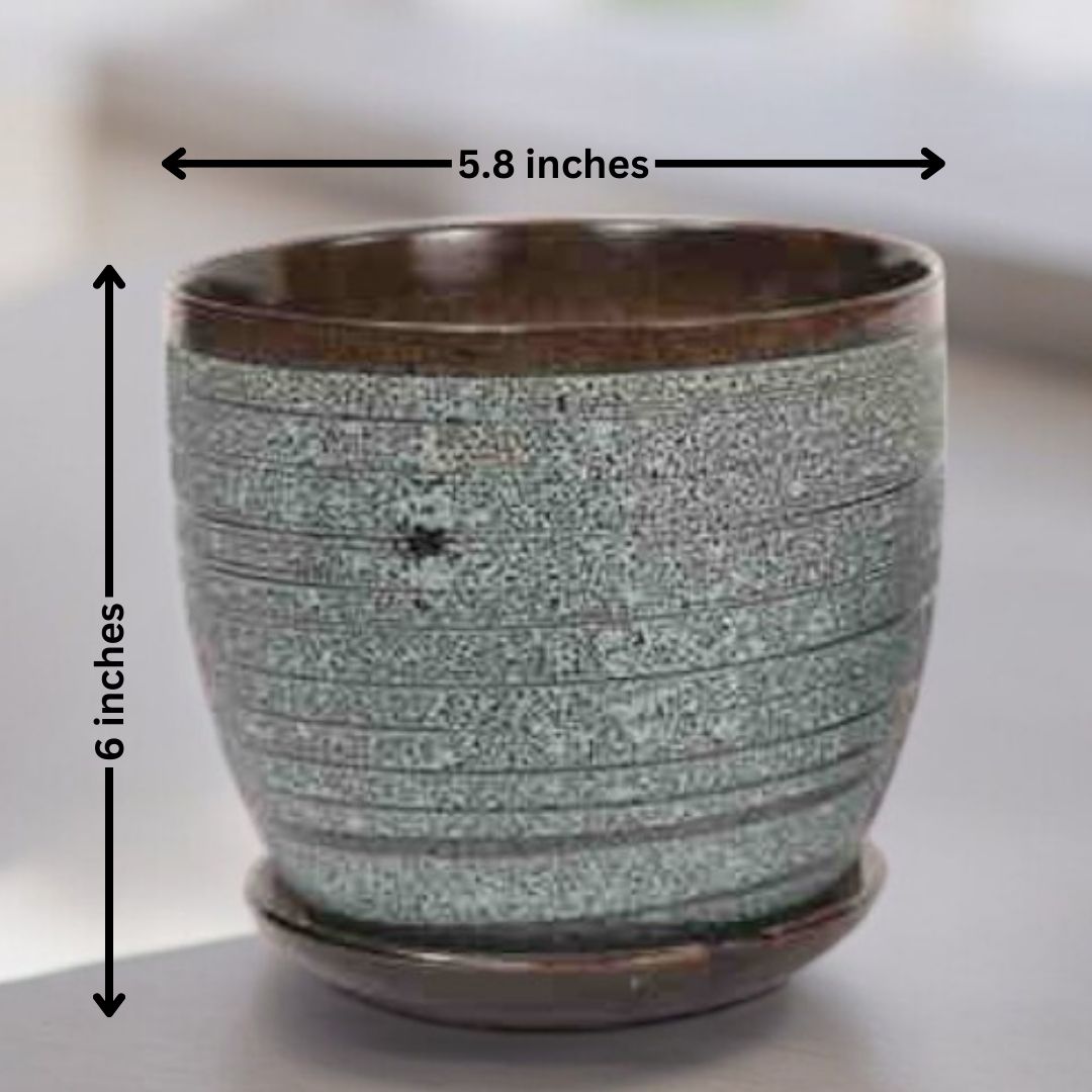 Planter stores in Bangalore