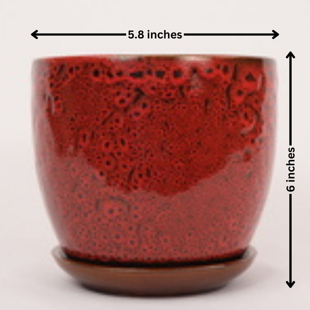 Home decor planters Bangalore