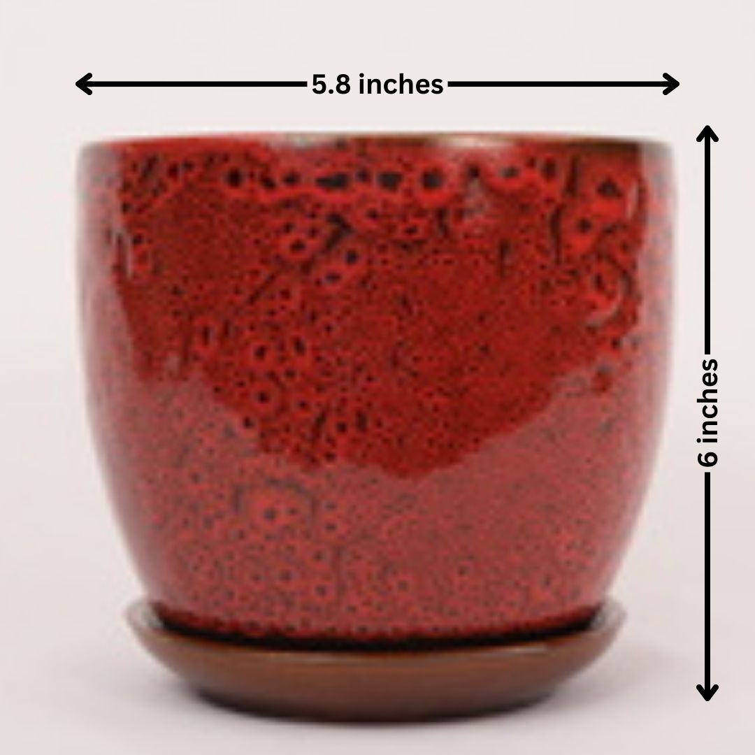 Home decor planters Bangalore