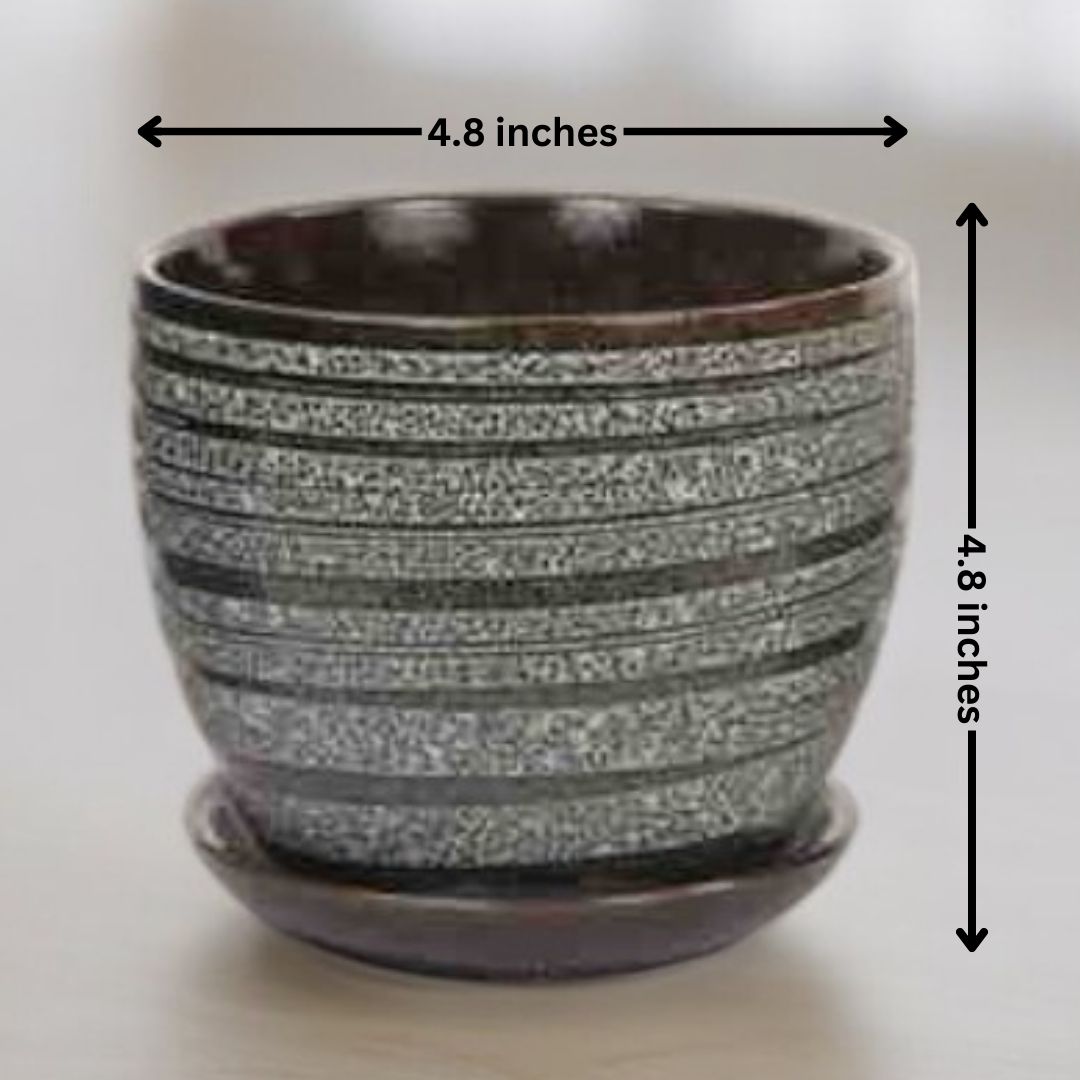 Planter stores in Bangalore