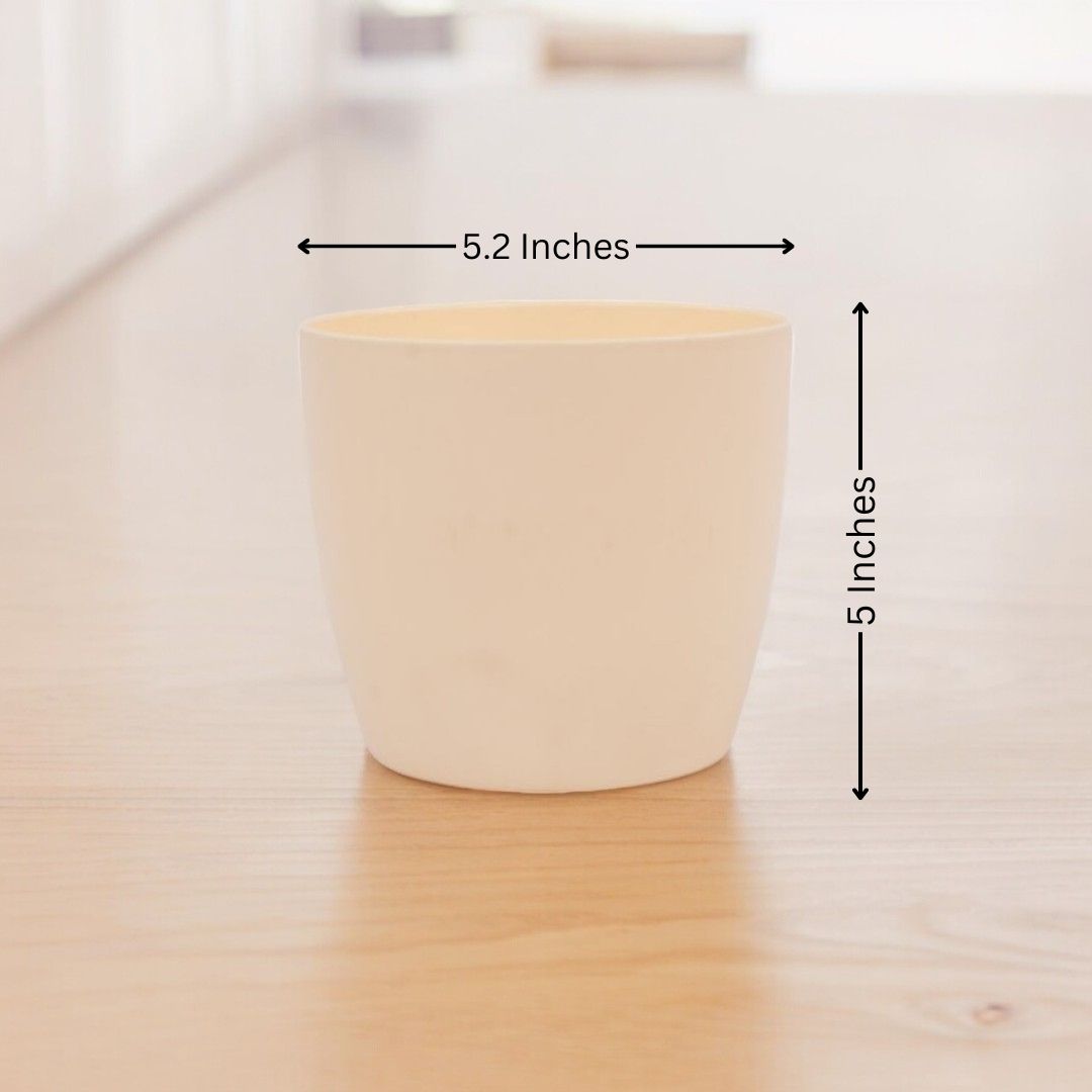 Where to buy planters in Bangalore