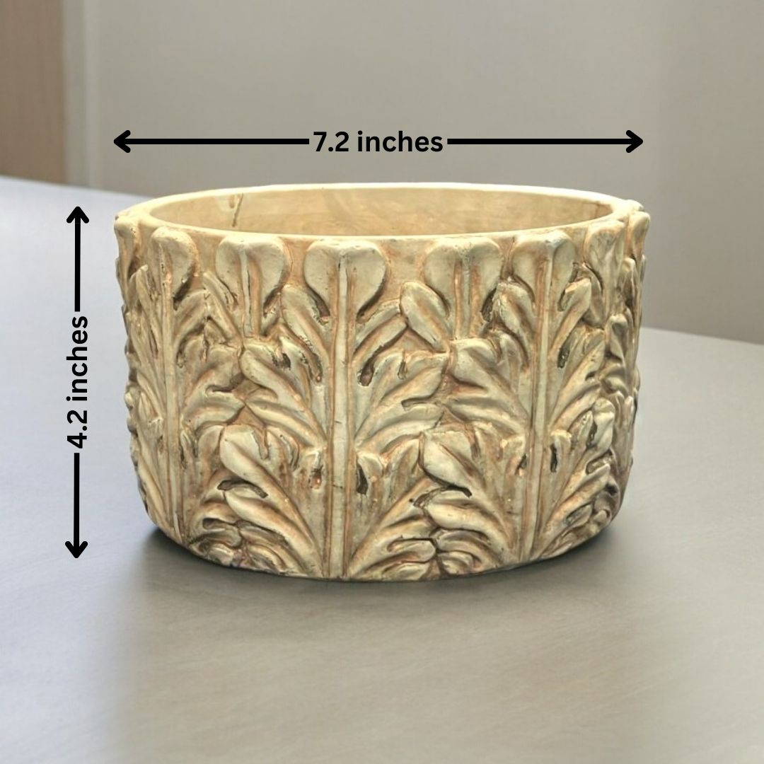 Eco-friendly planters Bangalore