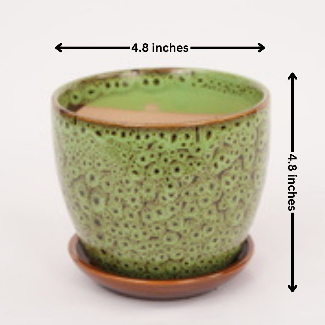 Home decor planters Bangalore