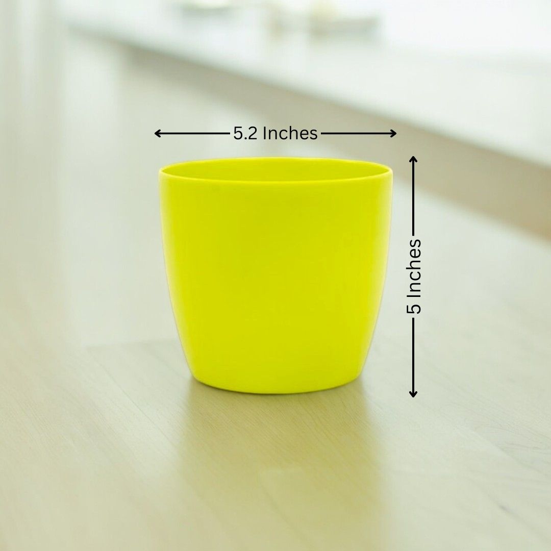 Where to buy planters in Bangalore