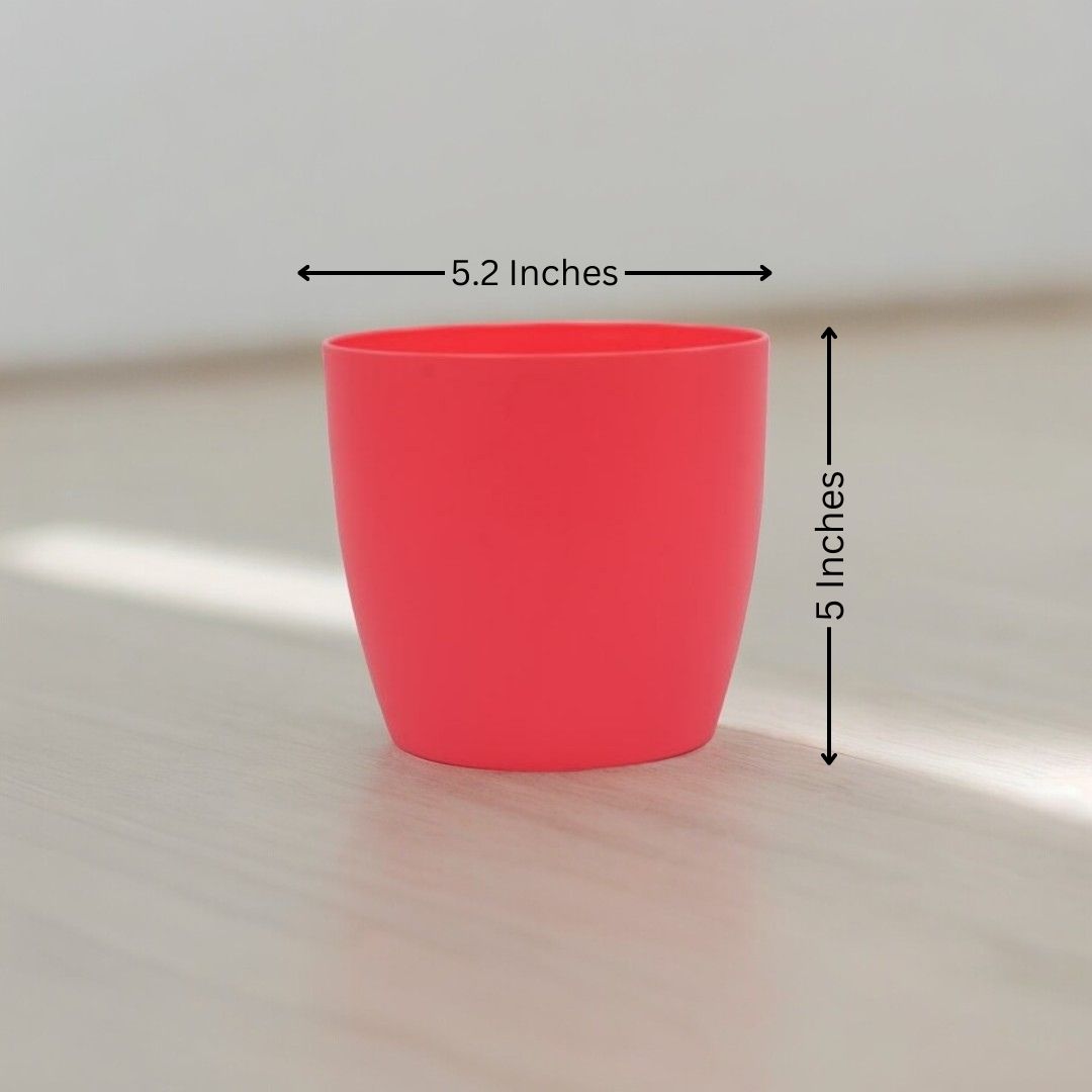 Where to buy planters in Bangalore