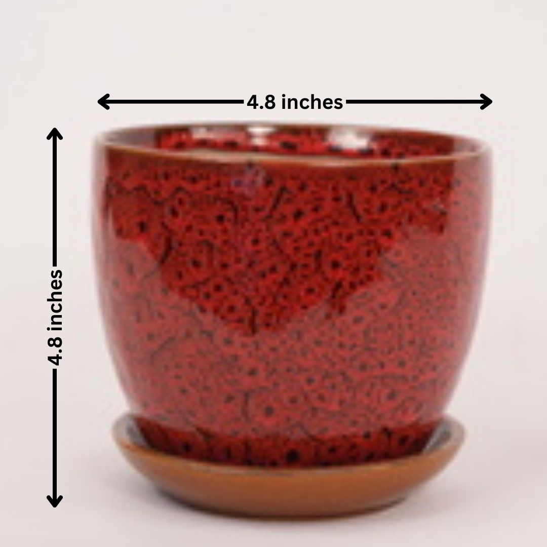 Home decor planters Bangalore