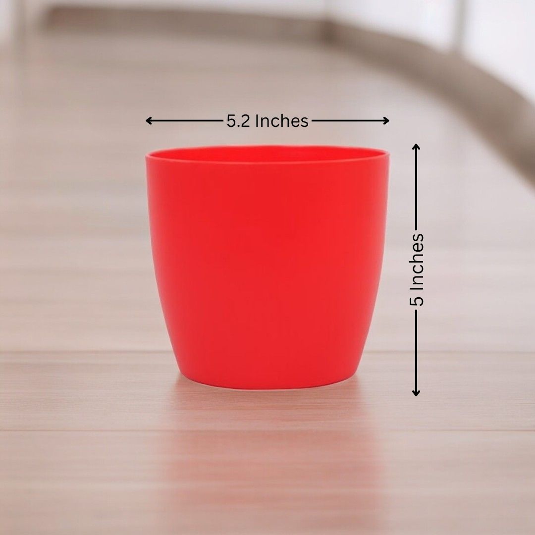 Where to buy planters in Bangalore