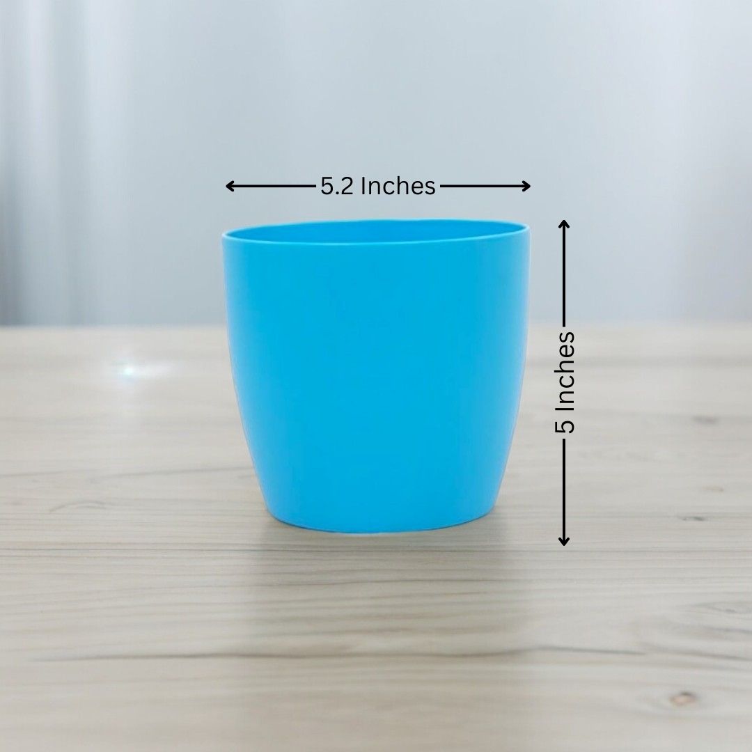 Where to buy planters in Bangalore
