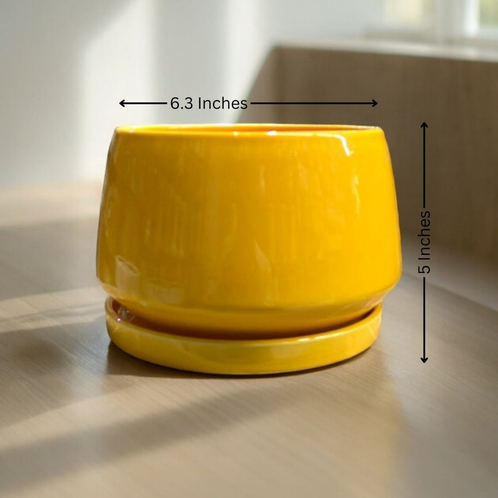 Affordable planters Bangalore