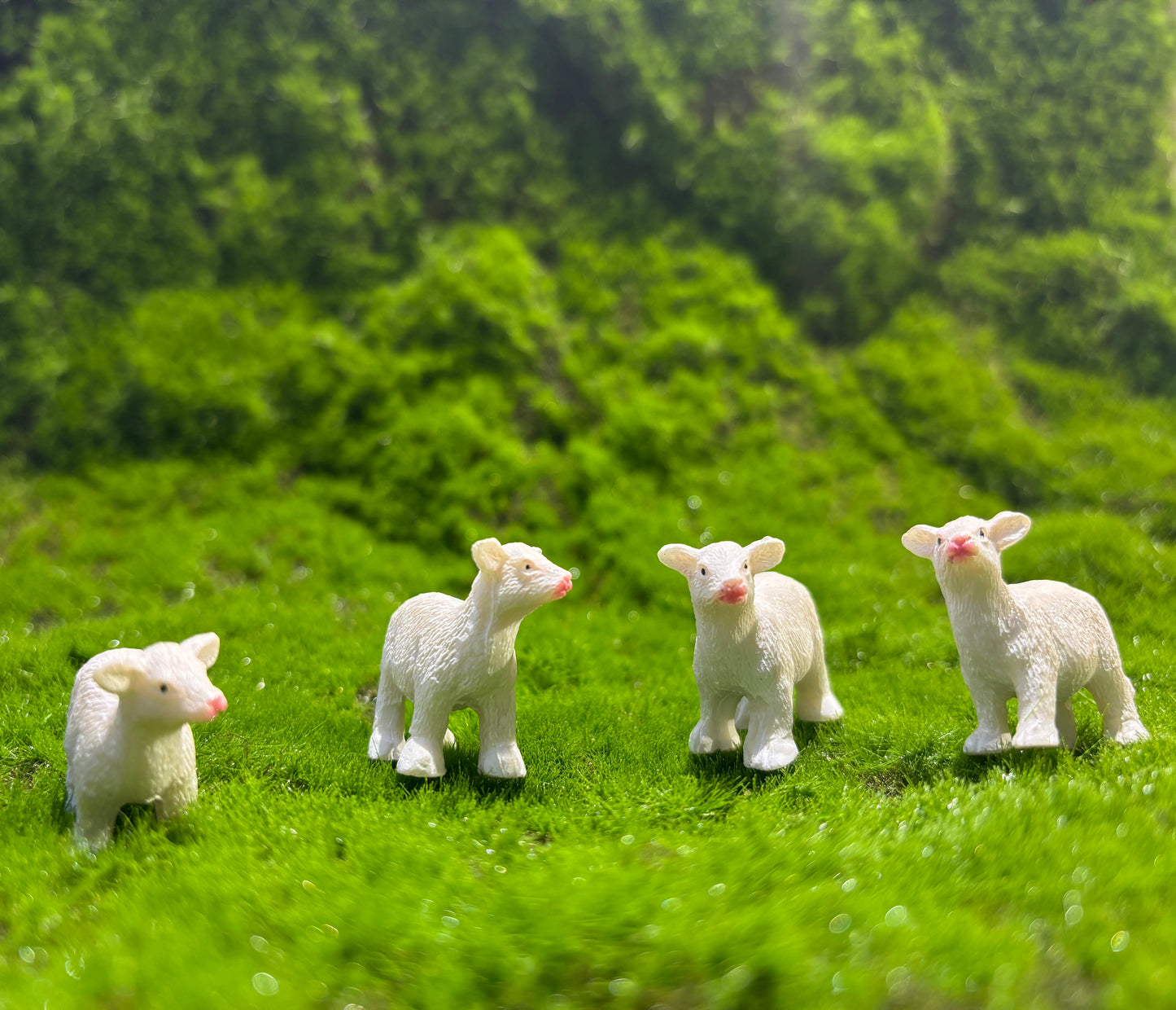 Mellow Cow Miniature