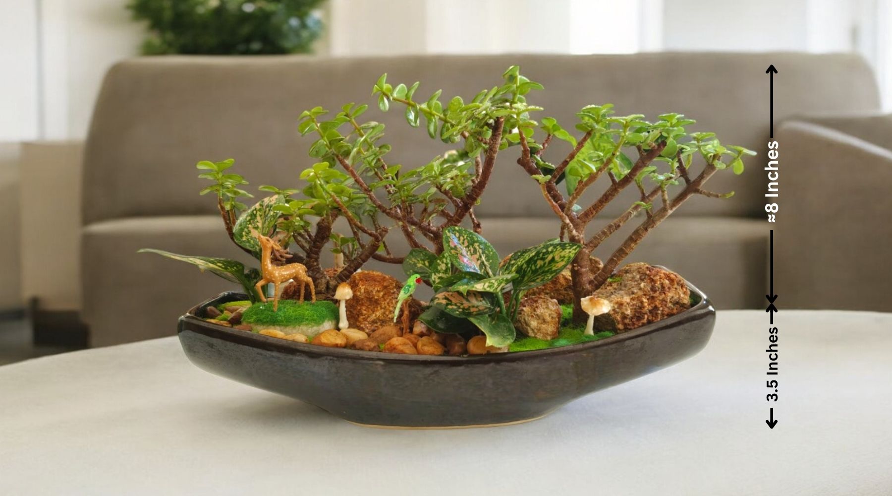 boat plant pot Boat Shape Planter with Designer Plants & Animals and Birds – Crazyflora