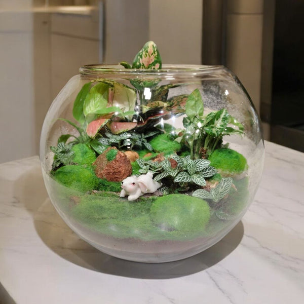 mini terrarium ideas in bangalore