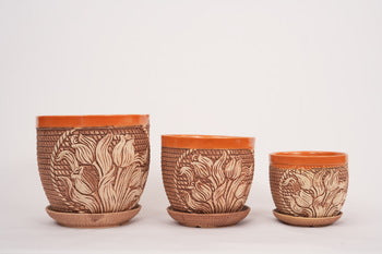 Bangalore planter shops