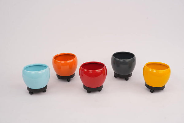 Planter pots Bangalore