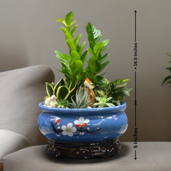 ZZ plant with glossy dark-green leaves arranged in a designer ceramic pot