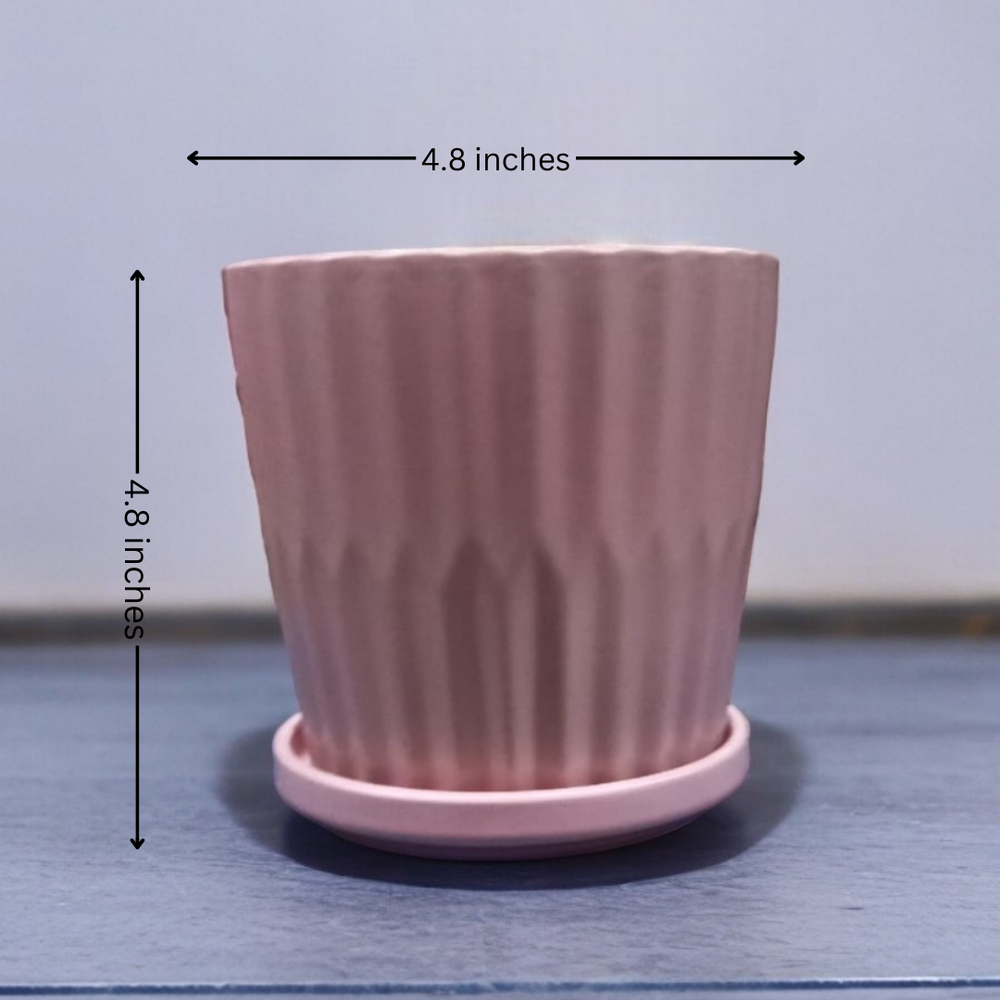 Ceramic planters Bangalore