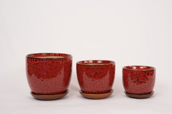 Home decor planters Bangalore