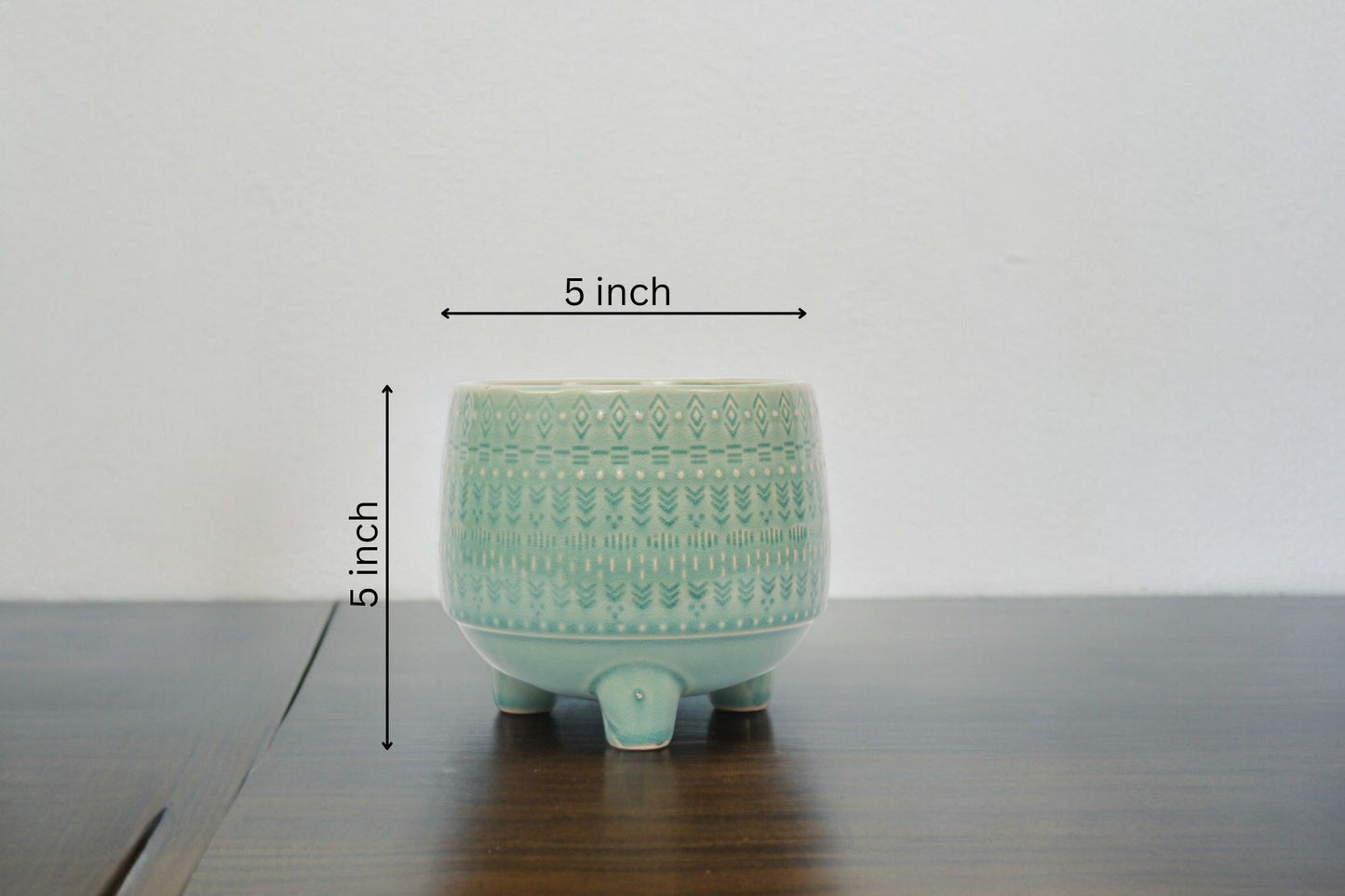 Urban gardening Bangalore