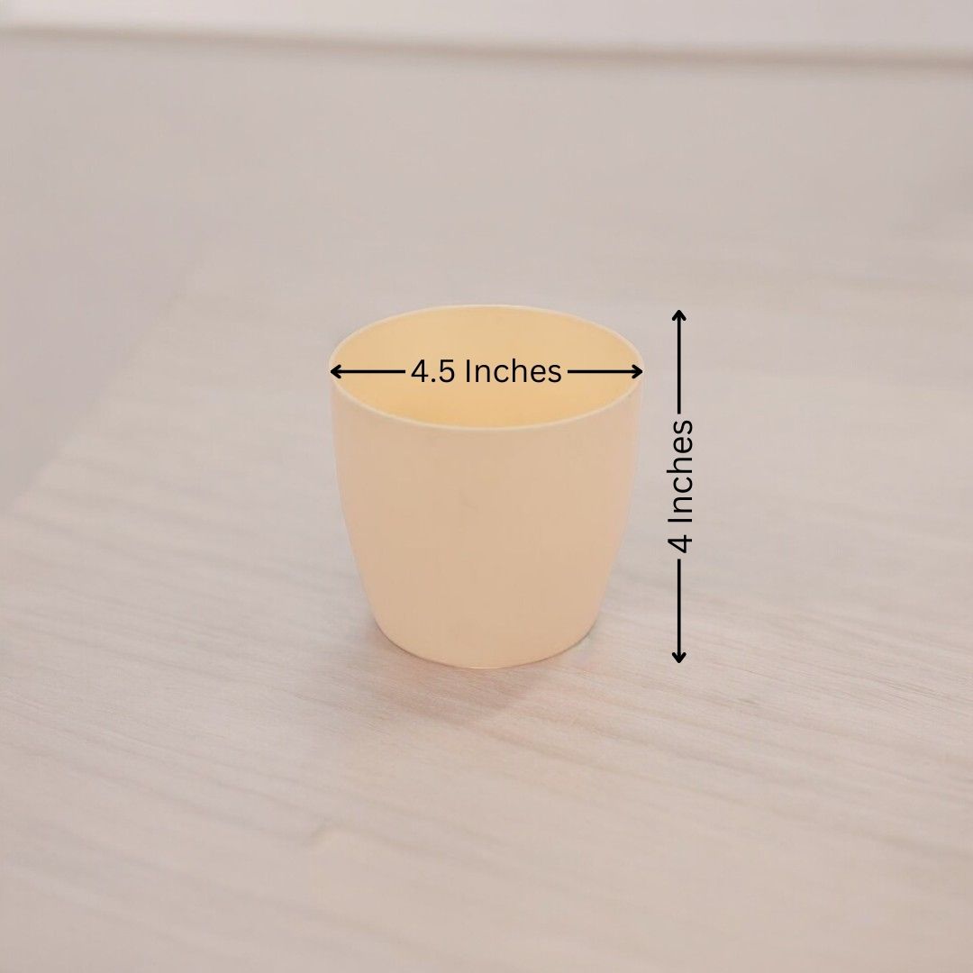 Where to buy planters in Bangalore
