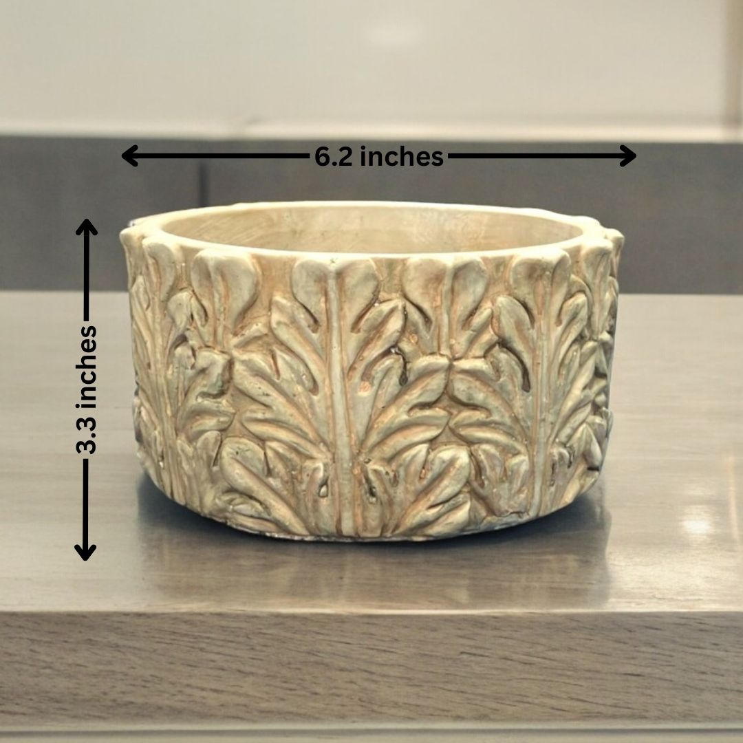 Eco-friendly planters Bangalore